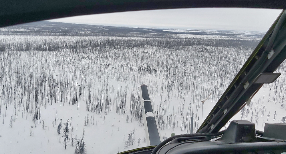 General view near survey area3